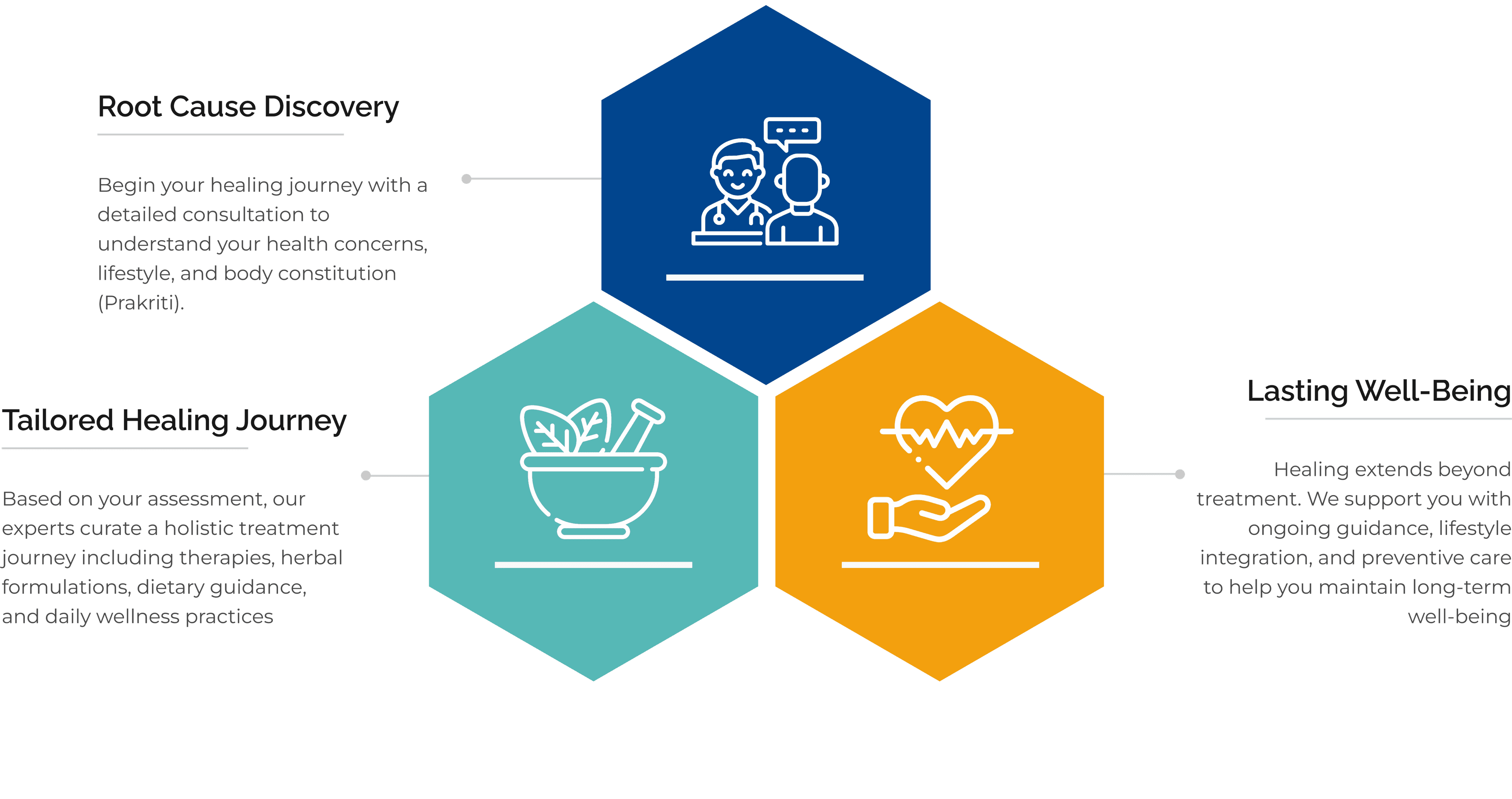 Three-step Ayurvedic healing journey: Root Cause Discovery, Tailored Healing Journey, and Lasting Well-Being